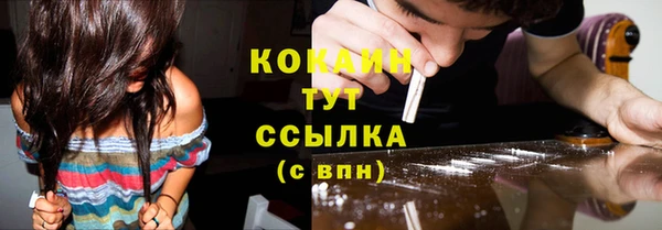 ГАЛЛЮЦИНОГЕННЫЕ ГРИБЫ Горно-Алтайск