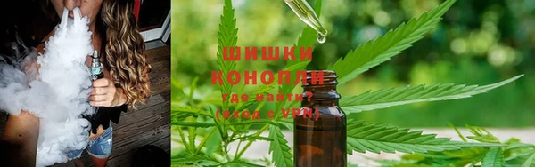 твердый Горняк