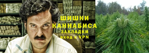 ГАЛЛЮЦИНОГЕННЫЕ ГРИБЫ Горно-Алтайск