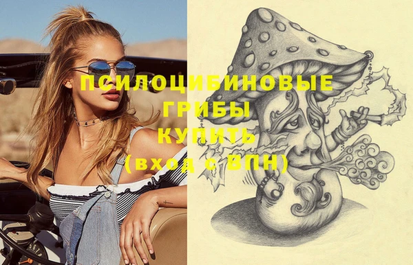 твердый Горняк