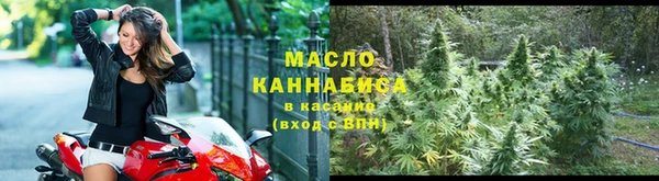 твердый Горняк